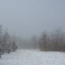 Foggy Winter095