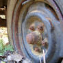 Rusty Things26
