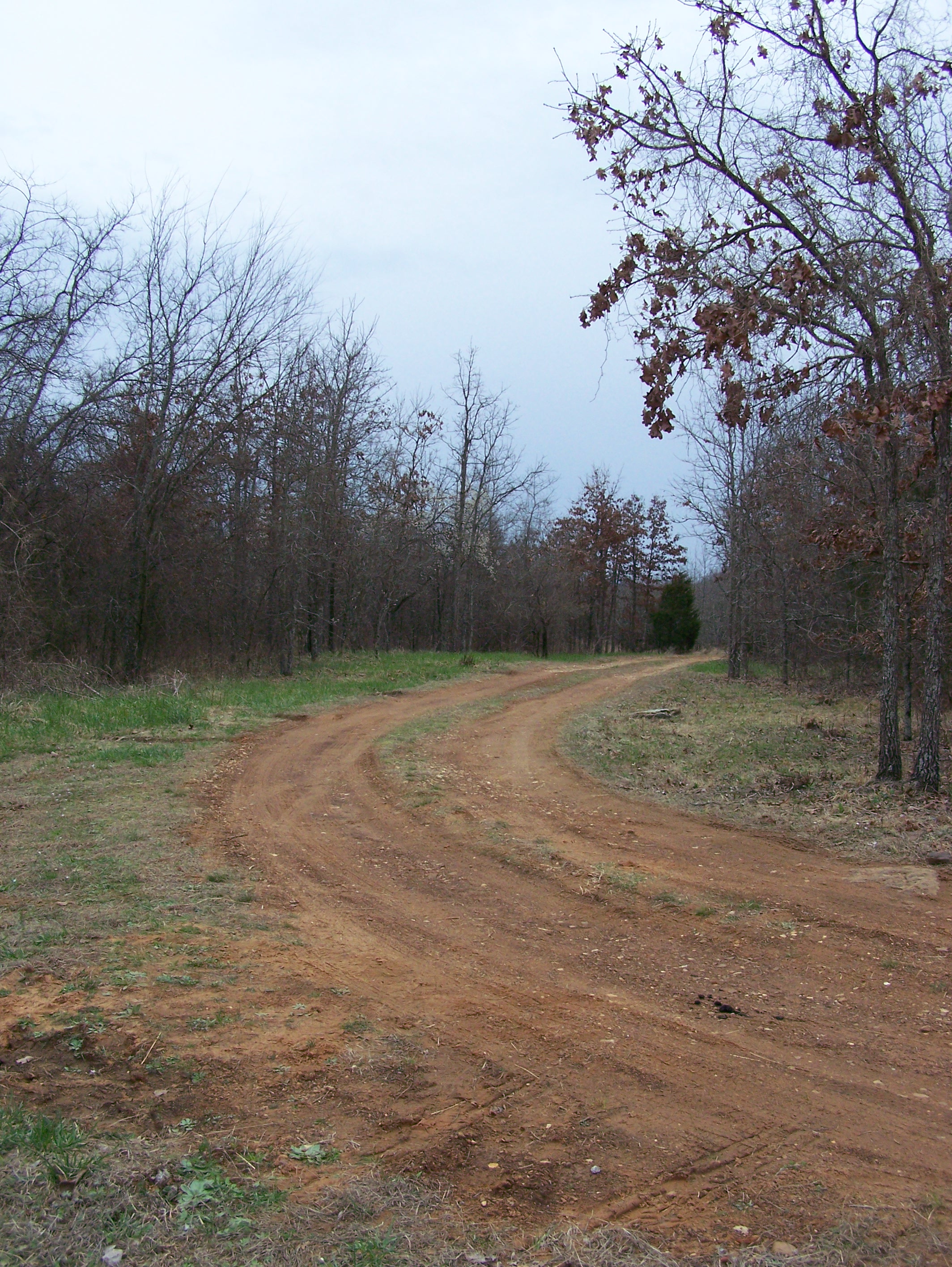 Driveway1