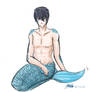 ....::::.:Merman Haruka:.::::....