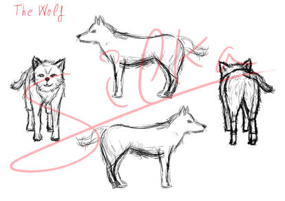 The Wolf (character line design)