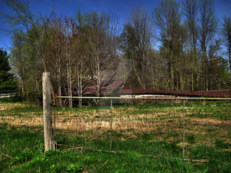 Dead Barn