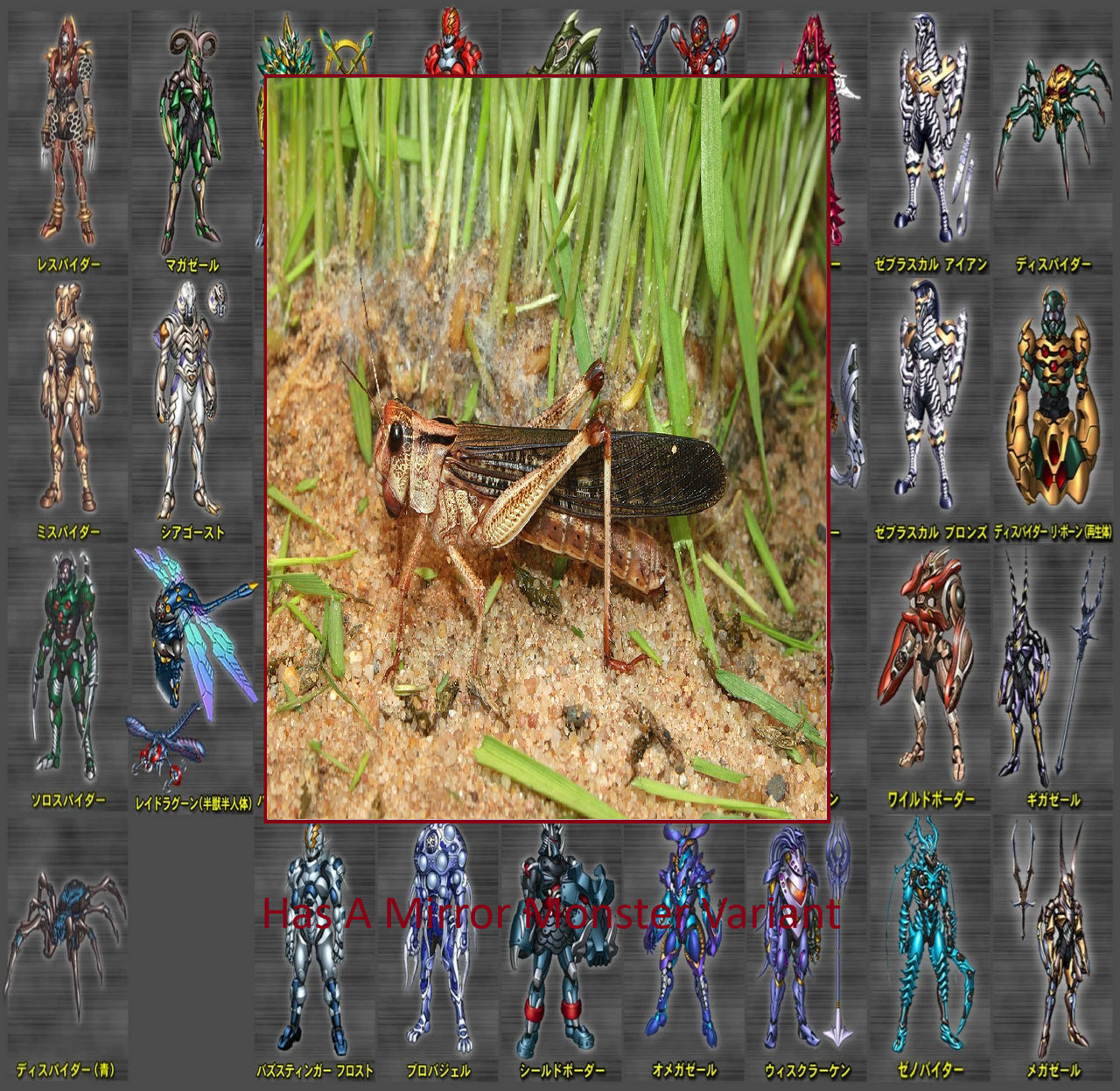 If Locust Had A Mirror Monster Variant by Usermicko2002 on DeviantArt