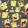 Sponges