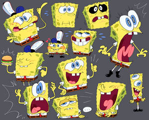 Sponges