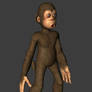 TS Monkey model