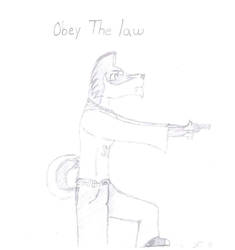 Obey The Law