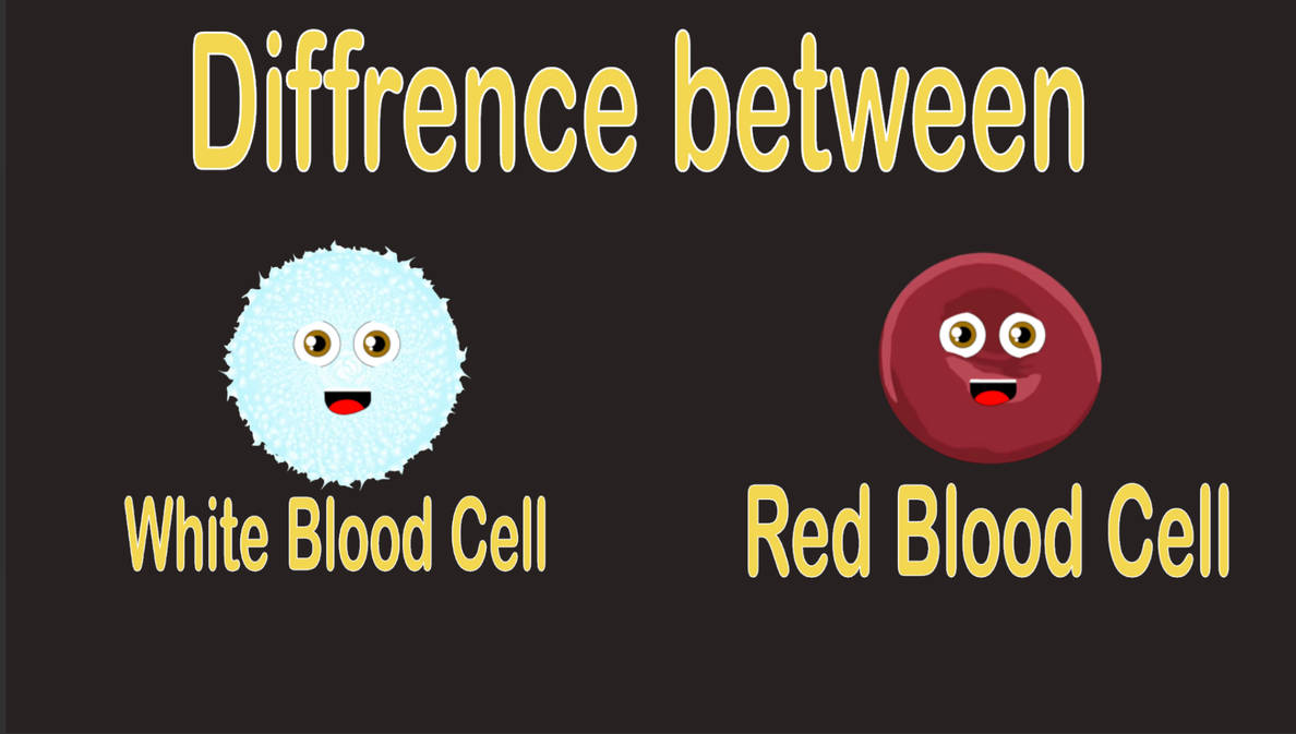 White and red blood cell differentiation by TresForBe on DeviantArt