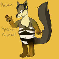 Kevin, Anthro Numbat OC