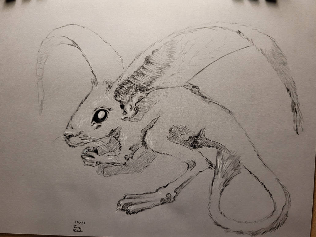 Desert Rats 2d Style Desert rat by TomaszRewak on DeviantArt