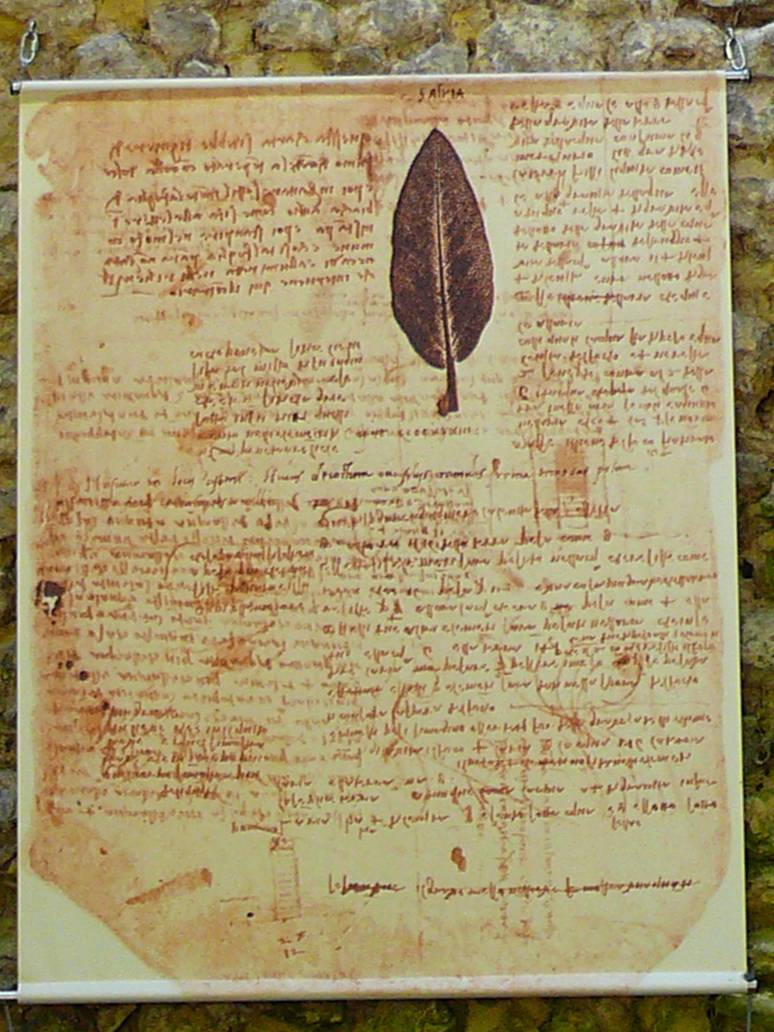Vinci herbarium by oxalysa