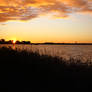 Sunset in Camargue