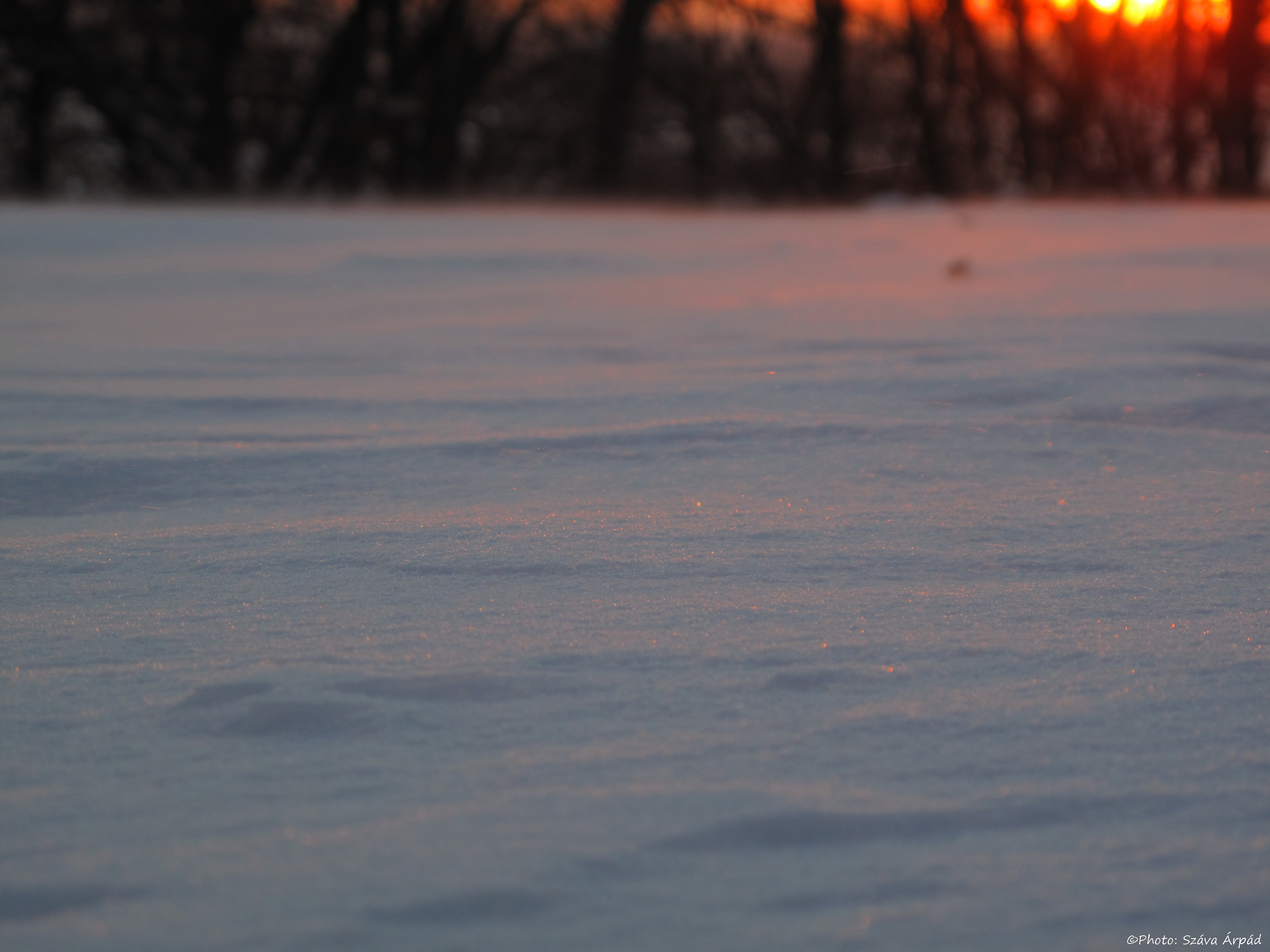 blowing snow