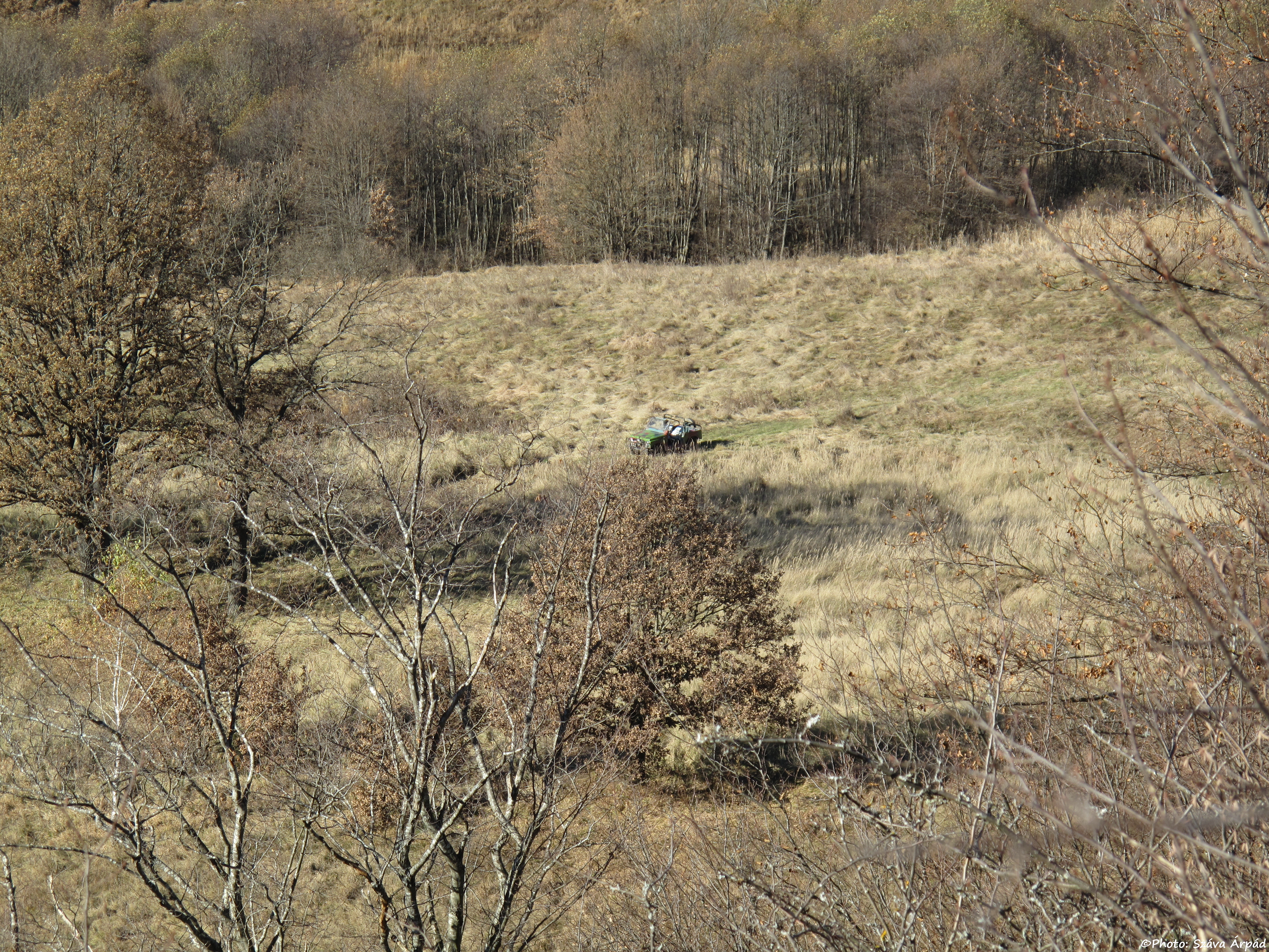 Abandoned car