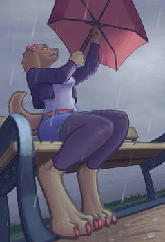 Rain