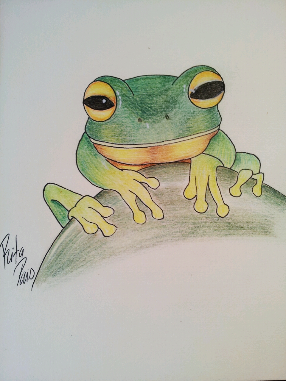 Frog