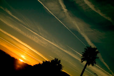 Desert Skies 1