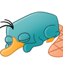 Perry the Sleepypus