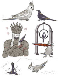 Bird Princes