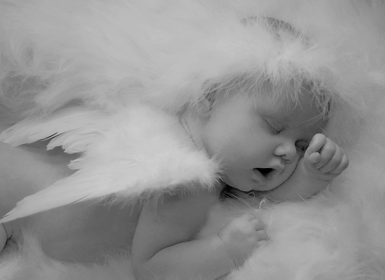 Sleeping Angel2