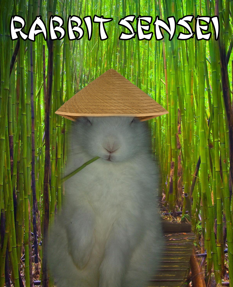 Rabbit Sensei