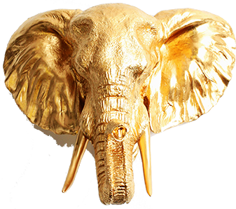 Gold Elephant Frame By Gazlan Sahmeiy On Deviantart Gold Elephant Frame By Gazlan Sahmeiy