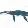 Pliosaurus