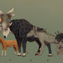 Cireks, prey and predators.