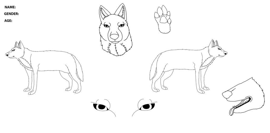 Wolf Reference Format Free Wolf Reference sheet! by PittheKidIcarus on DeviantArt