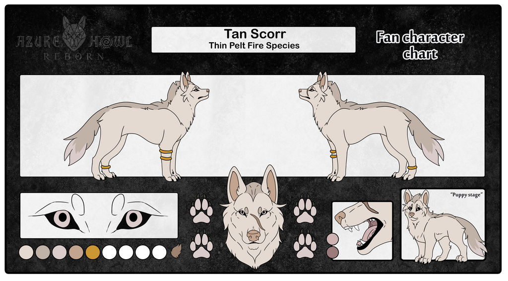 Tan Profile for Commission (Good) by PittheKidIcarus on DeviantArt