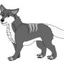 Kallyn Pupper