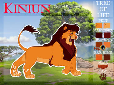 Kiniun,reference sheet