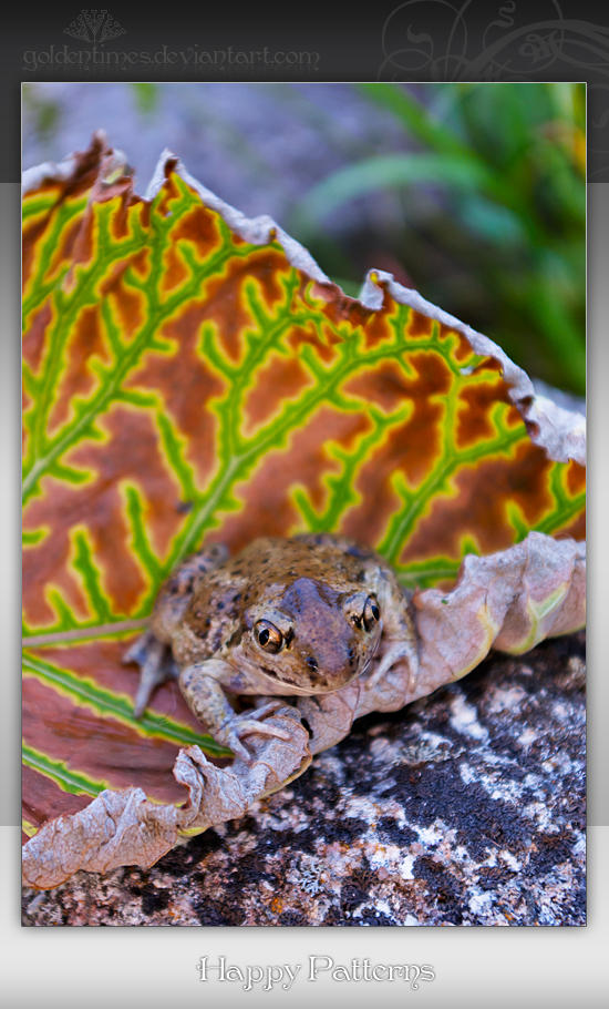 Happy Patterns by goldentimes on DeviantArt