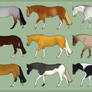 Quarter Horse Adoptables [OPEN]