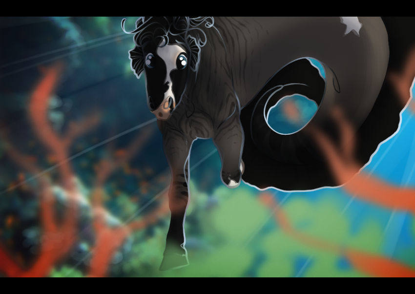 Curiosity By Semper N Aeternum On Deviantart Curiosity By Semper N Aeternum On Deviantart