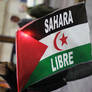Sahara libre - Free Sahara