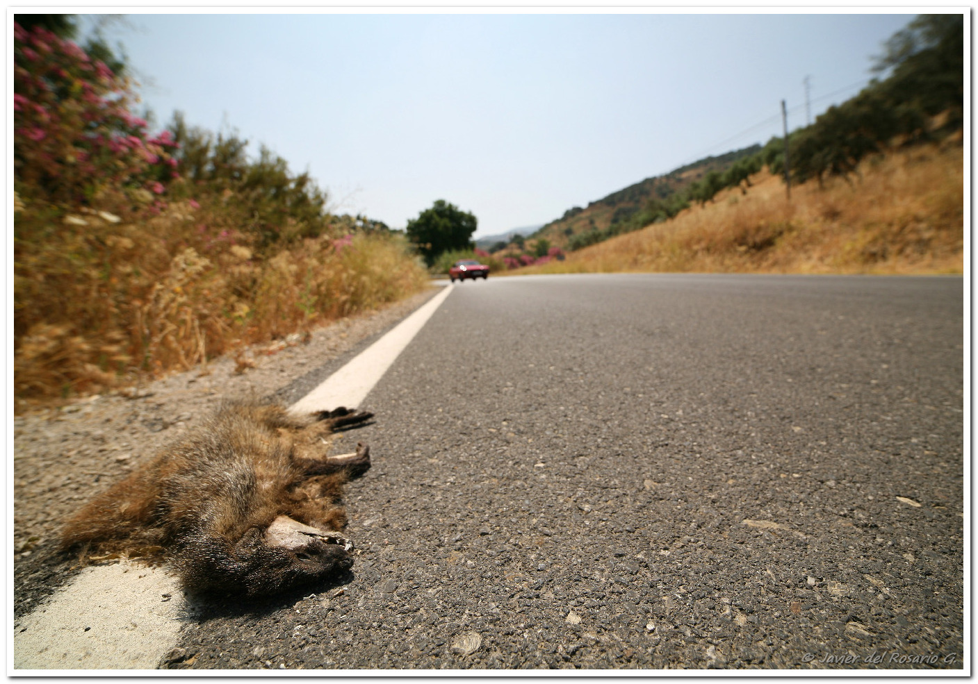 En la cuneta - By the wayside