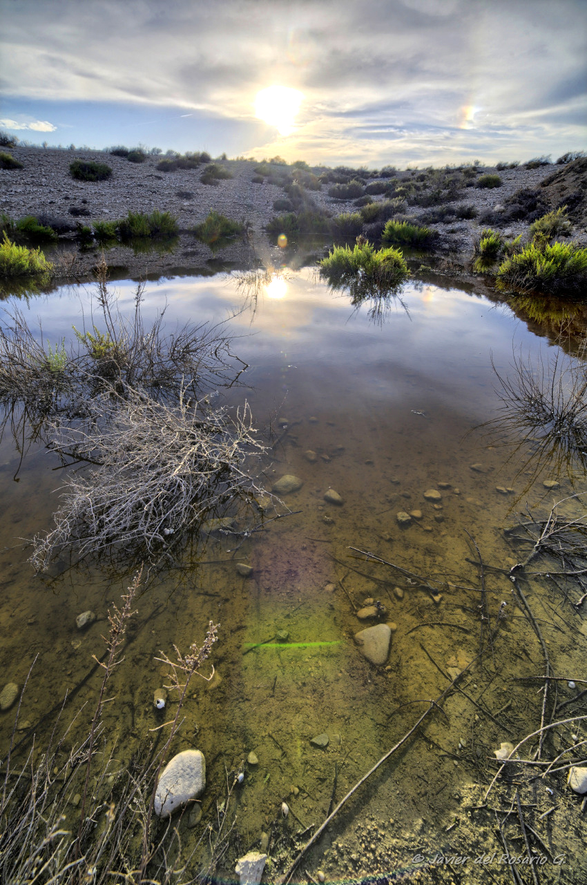 After rain - Despues lluvia