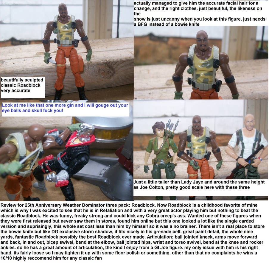 GI Joe Weather Dominator Roadblock Figure Review by lovefistfury on ...