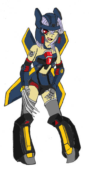 Star Raid frame arms style colors