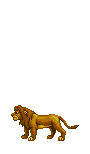 Simba Jump by Maxdemon6 on DeviantArt