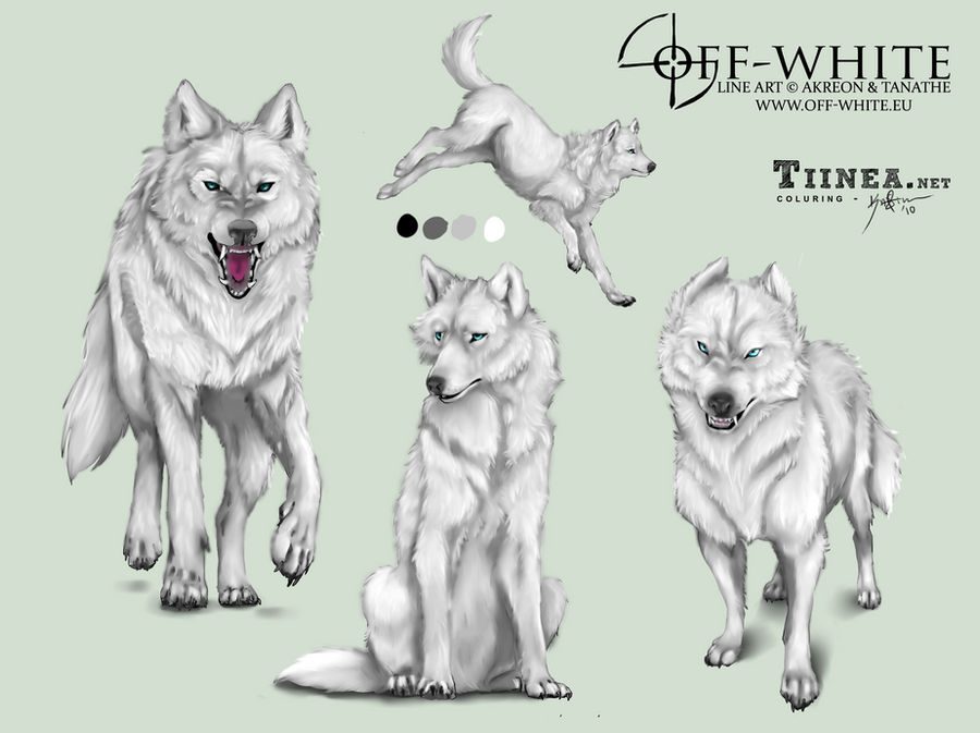 off-white Wolves by Tiinea on DeviantArt