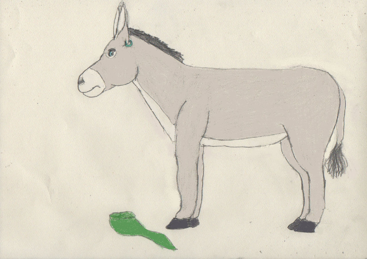 Link turns into a Donkey 2/2 by goodtimesroll44 on DeviantArt