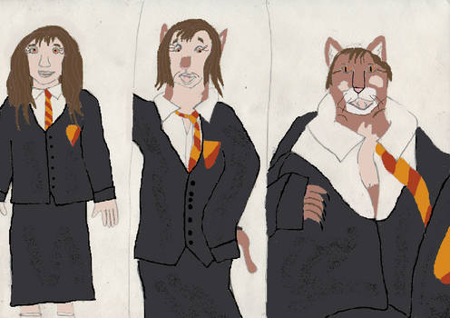 Hermione turns into a Cat 1/2