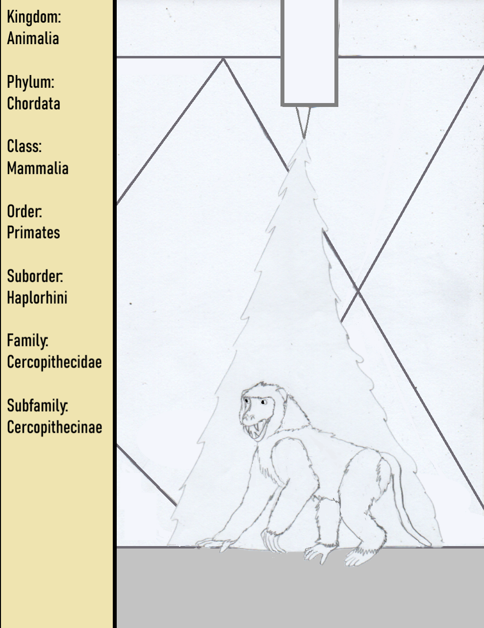 Cercopithecinae Examples Subfamily - Cercopithecinae by goodtimesroll44 on DeviantArt