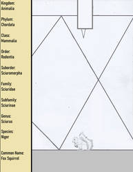Species - Niger - Fox Squirrel