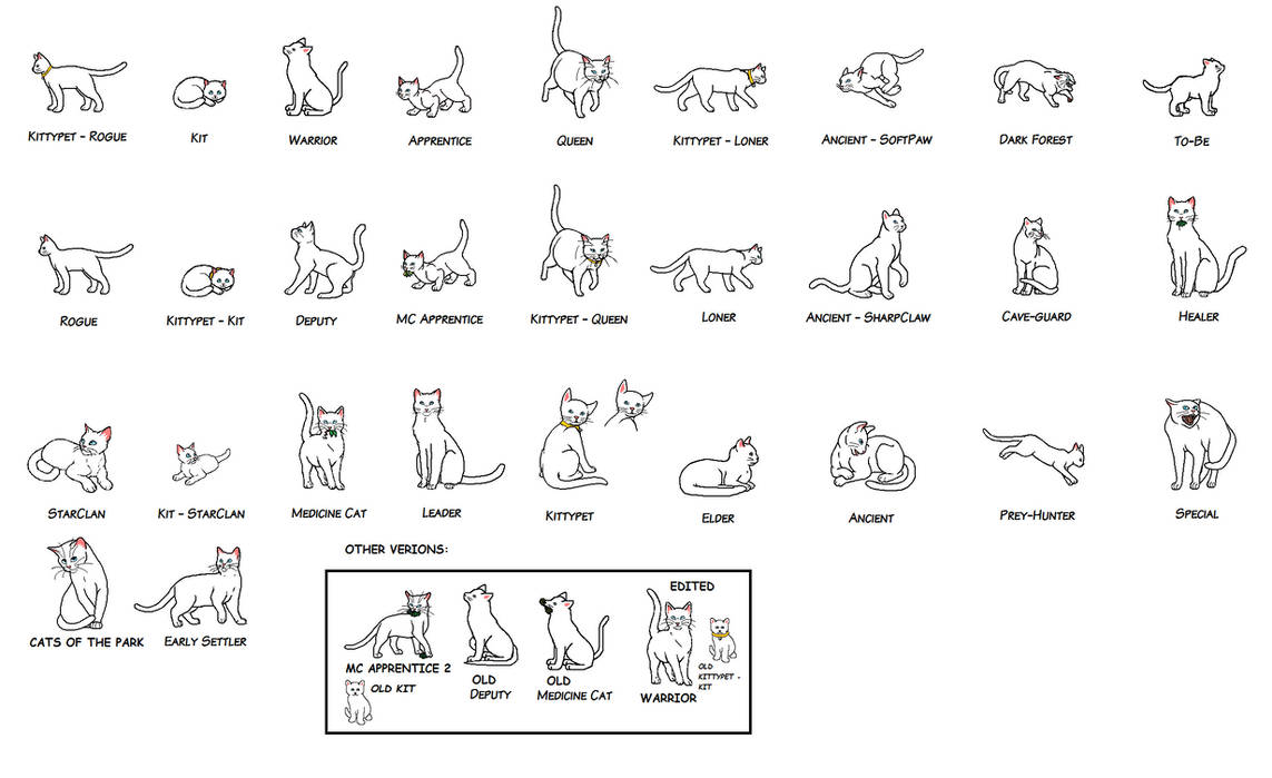UPDATED Shorthair Warrior cat rank linearts by Ginga-Adoptz on DeviantArt