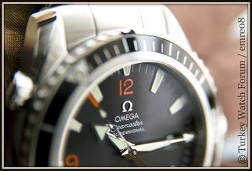 Omega Seamaster Planet Ocean