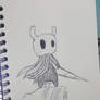 Hollow Knight