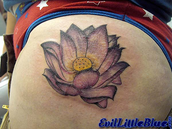 Lotus flower